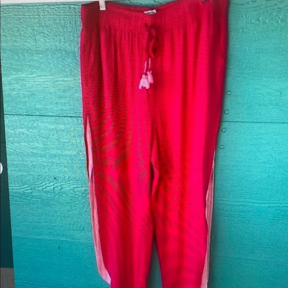 ANTHROPOLOGIE HAUTE HIPPIE DOUBLE LAYER LINEN FLOWY PANTS PINK SIZE XL - Picture 1 of 1